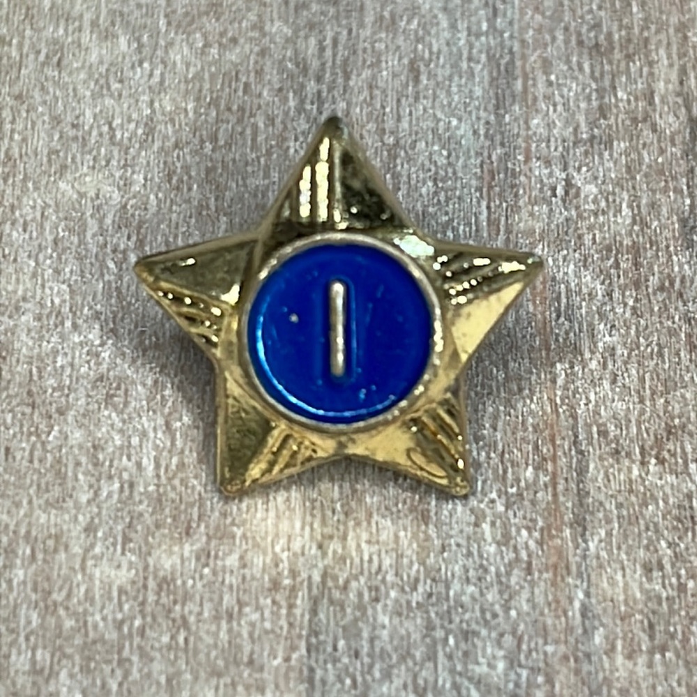 Boy Scouts 1 Year Service Star Lapel Pin